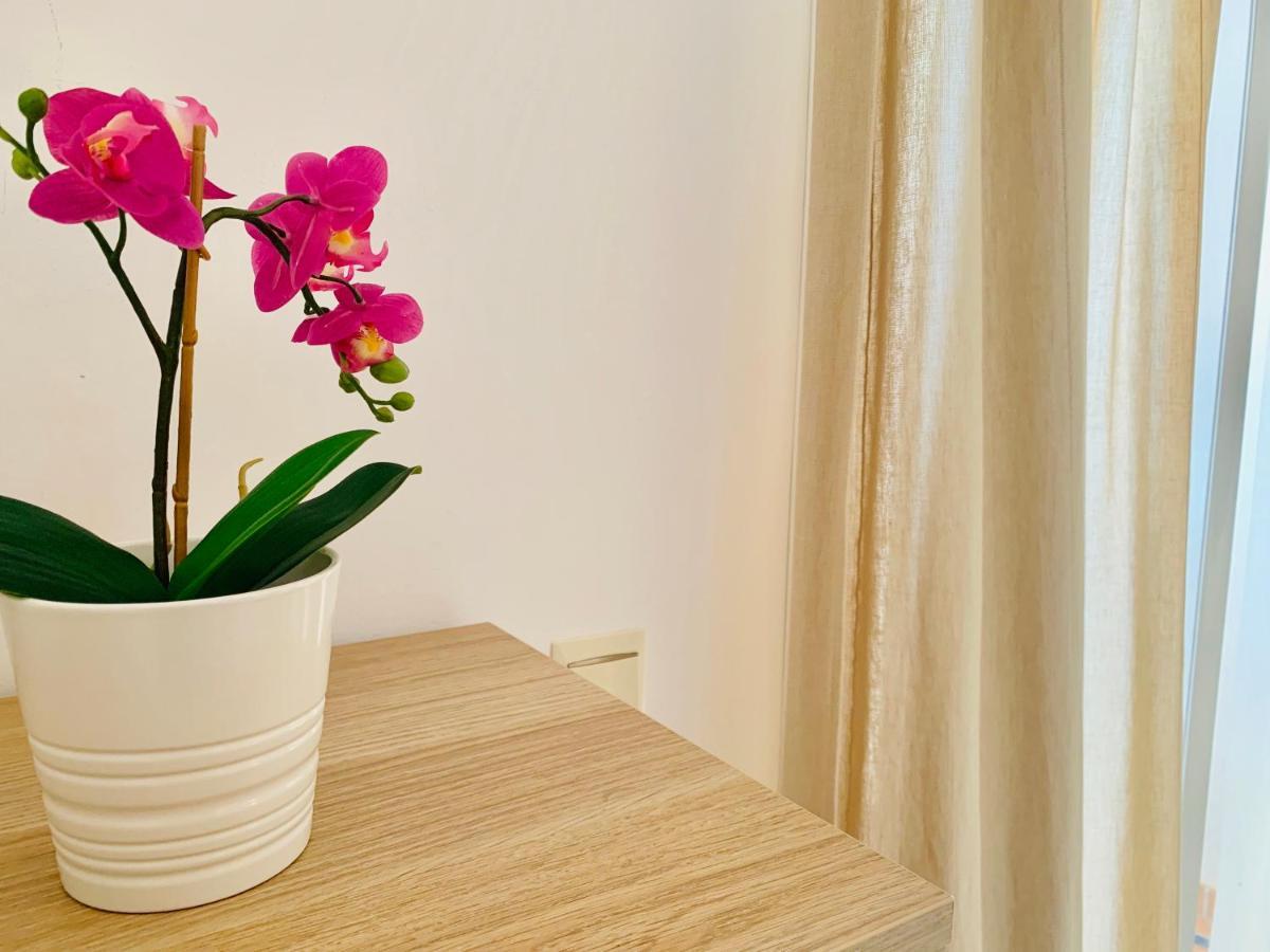 Homely Malaga Parras Con Terraza Interior Y Parking Privado Bajo Suplemento ภายนอก รูปภาพ